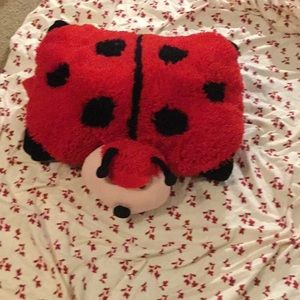 Ladybug pillow pet